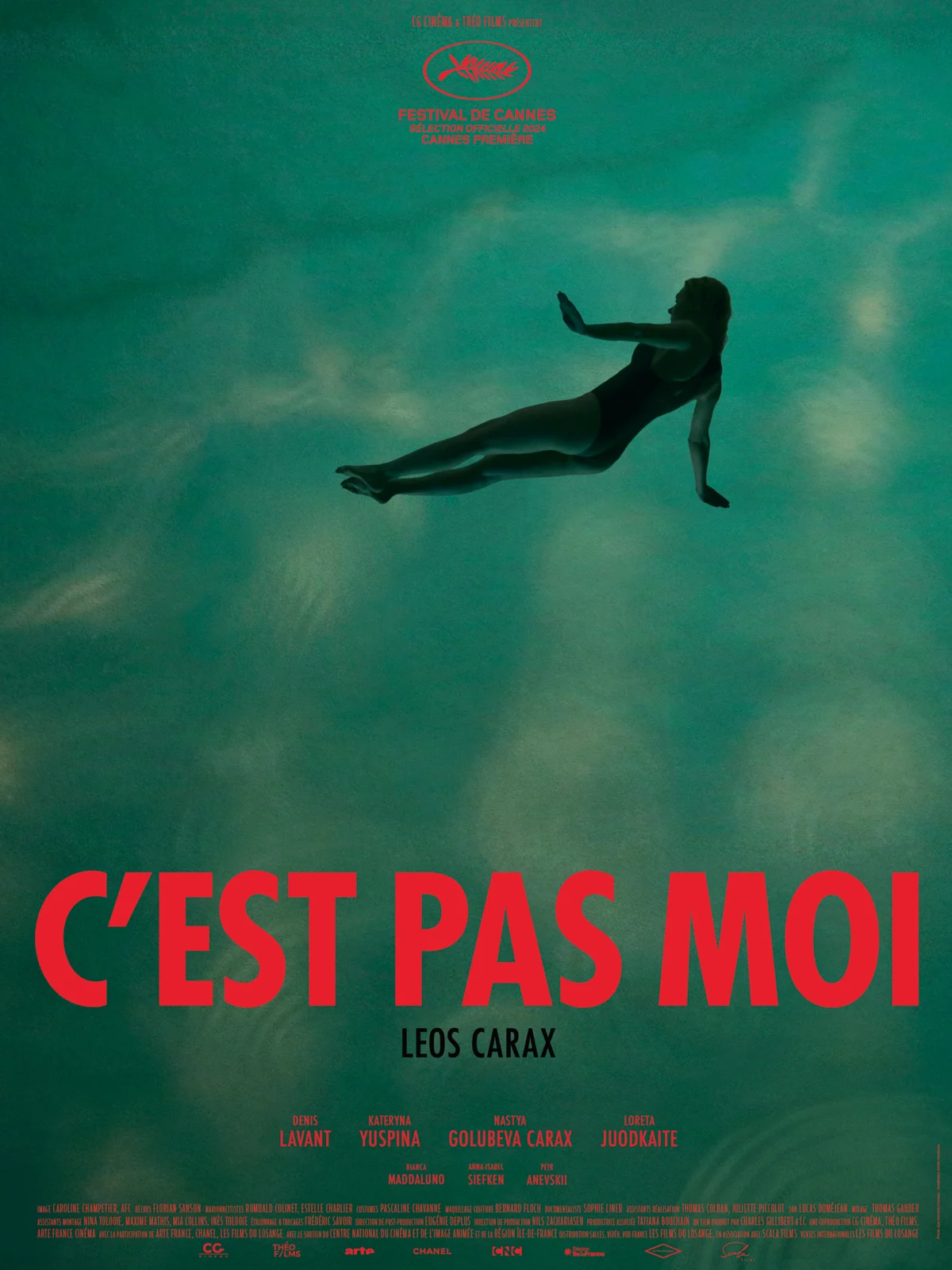 Affiche du film C'est pas moi